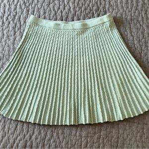 Pleated Skirt